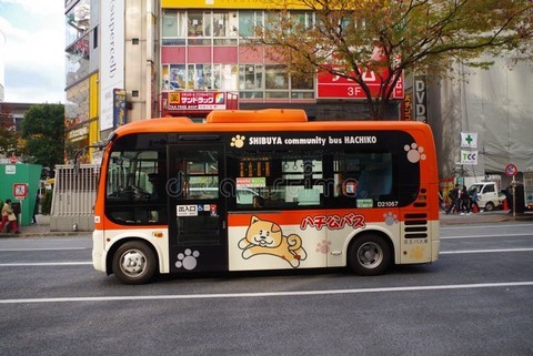 bus Hachiko